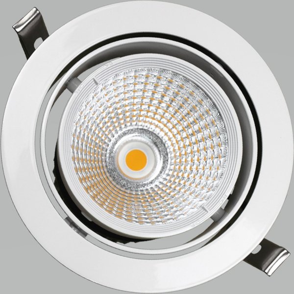 Eiko Led-Einbaustrahler Down Light LED 100-240VAC 17W warm white 2422lm schwenkbar